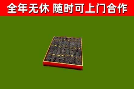 恒山回收海参